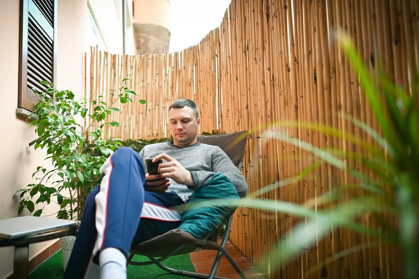 ogrodzenie z trzciny